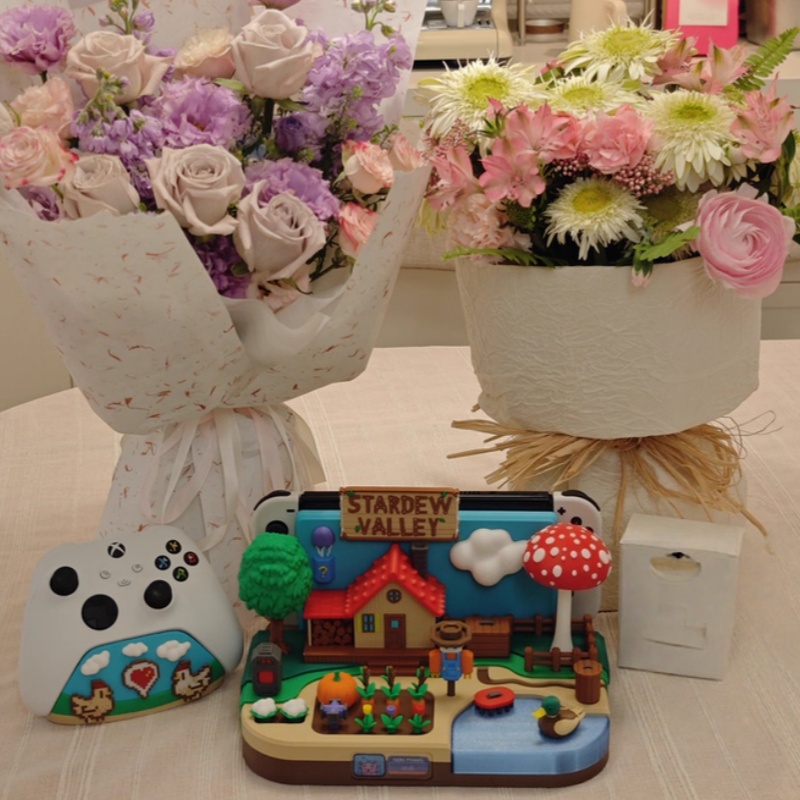 حامل شحن زخرفي بتصميم Stardew  - مراجعة Gaming Console In وسعره